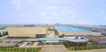 隆力奇 堅(jiān)守大健康產(chǎn)業(yè)，以網(wǎng)絡(luò)科技賦能民族品牌振興之路